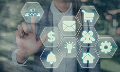 腾瑞云原创性筛查确权能力 构筑电商版权防护网络